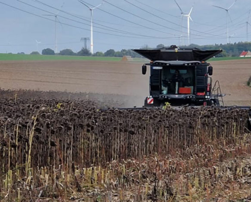 Blunk Sonnenblumen Ernte 2022 - Foto Felix Lappe 18