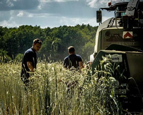 Blunk-Team bei GPS-Ernte in Schleswig-Holstein - Foto Sophie Stoltenberg - 6816