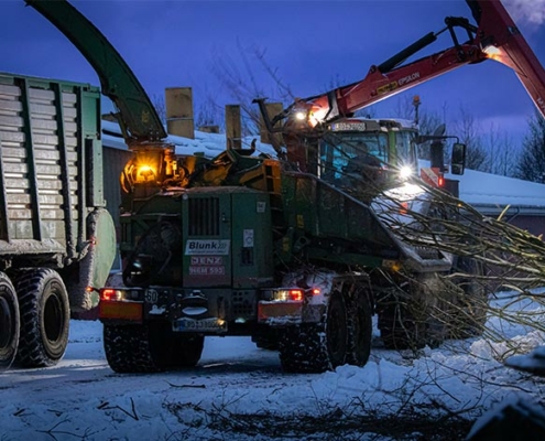 Blunk-Team bei Forstarbeiten im Winter in Schleswig-Holstein -- Foto Sophie Stoltenberg -04