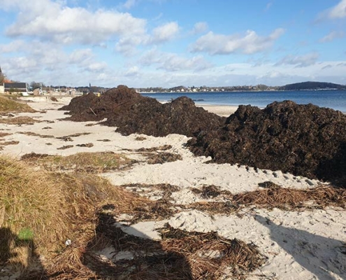 Blunk-Team Holtsee stellt vom Orkan zerstörten Strand wieder her 44