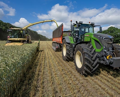 Blunk testet Feldhäcksler mit neuem Krone Schneidwerk XDisc 710 - Foto 3462a Tako Bannas