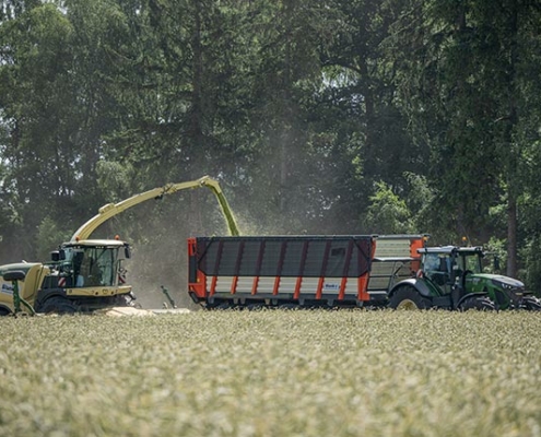 Blunk testet Feldhäcksler mit neuem Krone Schneidwerk XDisc 710 - Foto 3476 Tako Bannas