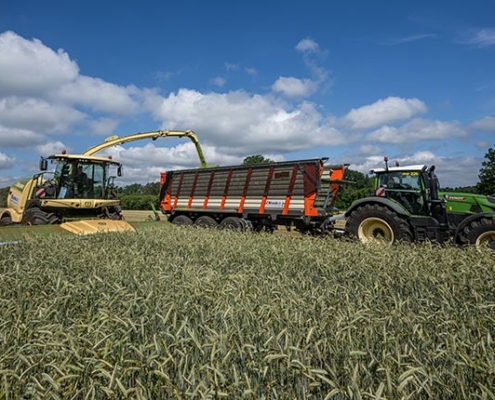Blunk testet Feldhäcksler mit neuem Krone Schneidwerk XDisc 710 - Foto 3484 Tako Bannas