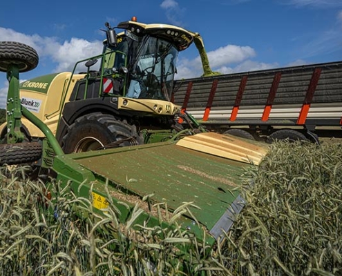 Blunk testet Feldhäcksler mit neuem Krone Schneidwerk XDisc 710 - Foto 3487 Tako Bannas