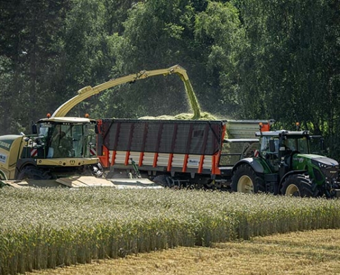 Blunk testet Feldhäcksler mit neuem Krone Schneidwerk XDisc 710 - Foto 3496 Tako Bannas