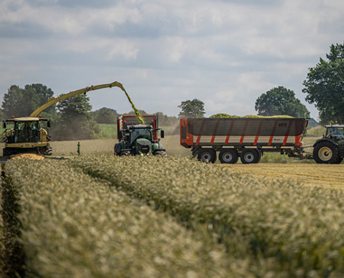 Blunk testet Feldhäcksler mit neuem Krone Schneidwerk XDisc 710 - Foto 3503 Tako Bannas