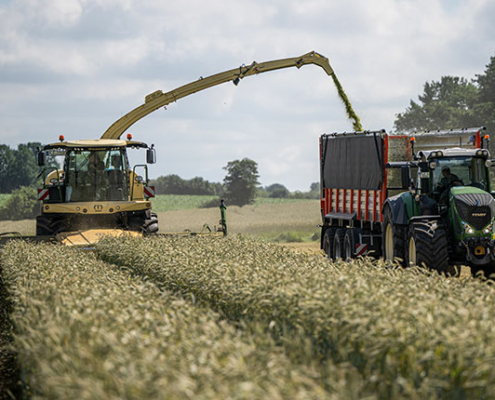 Blunk testet Feldhäcksler mit neuem Krone Schneidwerk XDisc 710 - Foto 3510 Tako Bannas