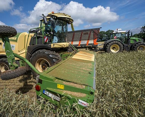 Blunk testet Feldhäcksler mit neuem Krone Schneidwerk XDisc 710 - Foto 3544 Tako Bannas