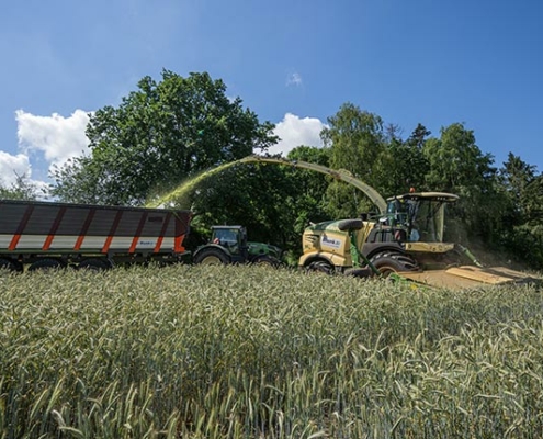 Blunk testet Feldhäcksler mit neuem Krone Schneidwerk XDisc 710 - Foto 3586 Tako Bannas