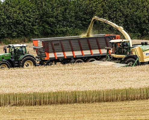 Blunk testet Feldhäcksler mit neuem Krone Schneidwerk XDisc 710 - Foto 09190 Tobias Beck
