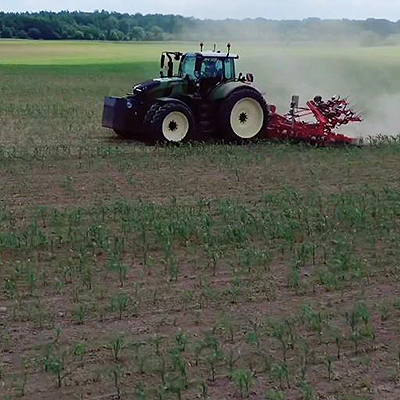 Pflanzenschutz duch mechanisches Hacken im Maisbestand mit Blunk - 04