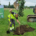 Blunk nimmt Apfelbaum-Challenge an und pflanzt Baum - Titelbild