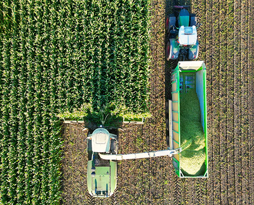 Moderne Ernte-Logistik zur Maisernte mit Blunk - Foto Bjoern Marquardt -04