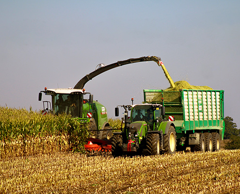 Moderne Ernte-Logistik zur Maisernte mit Blunk - Foto Jonas Becker - 02