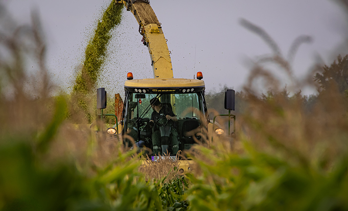 Moderne Ernte-Logistik zur Maisernte mit Blunk - Foto Sophie Stoltenberg - Titelbild