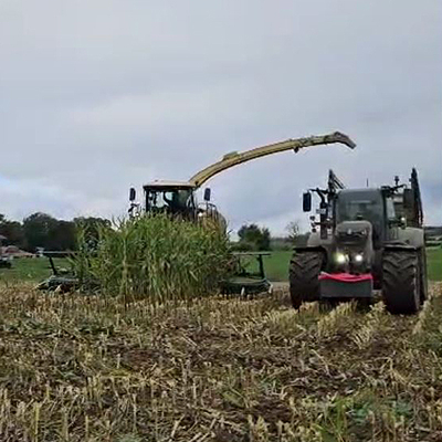 Blunk-Team Holtsee bei Silphie-Ernte in Schleswig-Holstein -01
