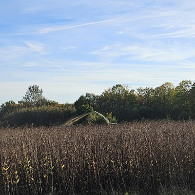 Blunk-Team Holtsee bei Silphie-Ernte in Schleswig-Holstein -03