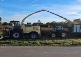 Blunk-Team Holtsee bei Silphie-Ernte in Schleswig-Holstein -08