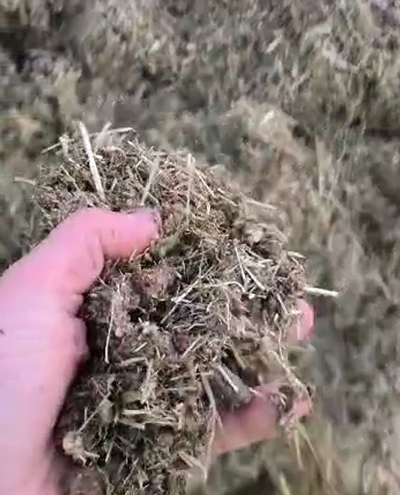 blunk-team-beim-rueben-mischsilage-herstellen-foto-malte-schroeder-33