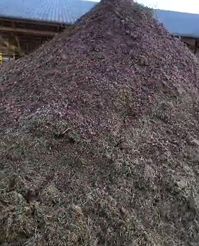 blunk-team-beim-rueben-mischsilage-herstellen-foto-malte-schroeder-34