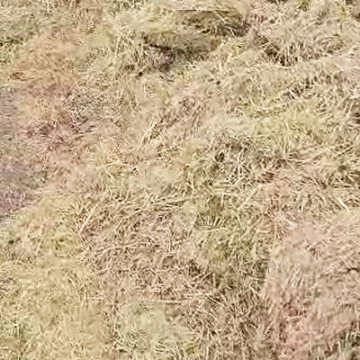 blunk-team-beim-rueben-mischsilage-herstellen-foto-malte-schroeder-45