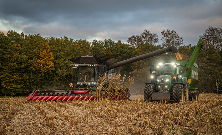 Maisdrusch mit Blunk in Schleswig-Holstein - Foto Tako Bannas 05 Maisdrusch mit Blunk in Schleswig-Holstein - Foto Tako Bannas 05
