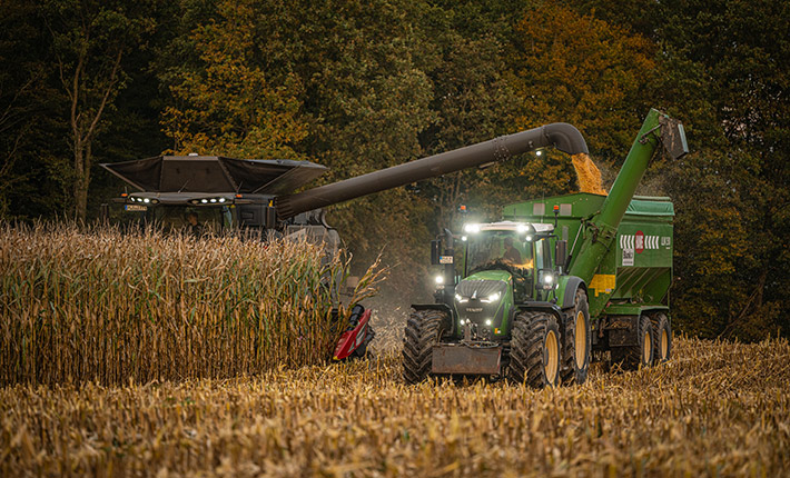 Maisdrusch mit Blunk in Schleswig-Holstein - Foto Tako Bannas 06 Maisdrusch mit Blunk in Schleswig-Holstein - Foto Tako Bannas 06