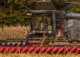 Maisdrusch mit Blunk in Schleswig-Holstein - Foto Tako Bannas 07