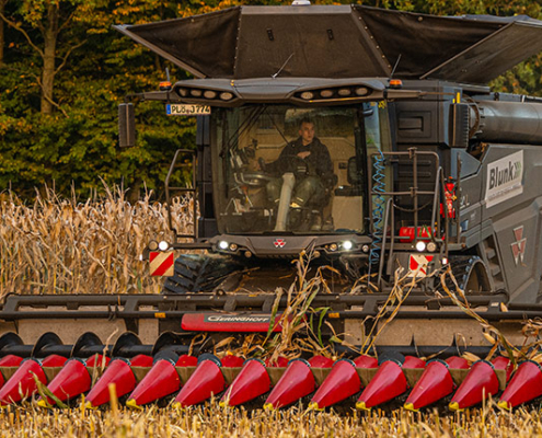 Maisdrusch mit Blunk in Schleswig-Holstein - Foto Tako Bannas 07