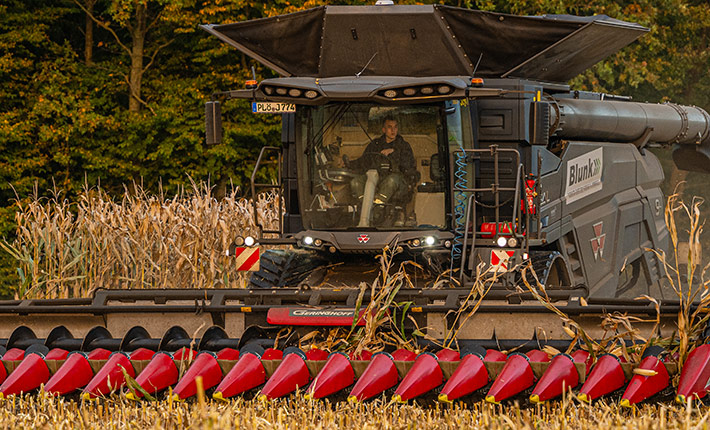 Maisdrusch mit Blunk in Schleswig-Holstein - Foto Tako Bannas 07 Maisdrusch mit Blunk in Schleswig-Holstein - Foto Tako Bannas 07