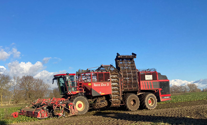 rueben-serice-von-blunk-rueben-roden-in-sh