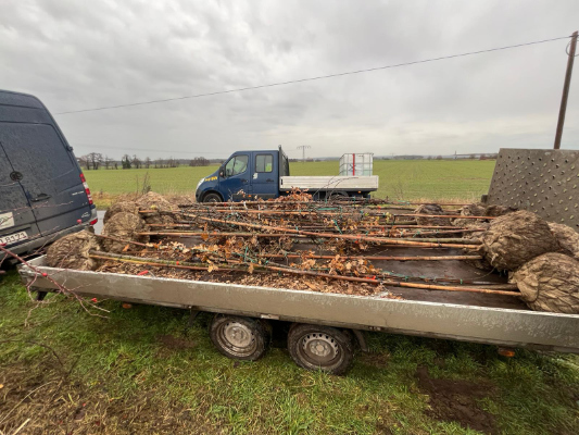 blunk-bei-pflanzung-straeucher-baeume-foto-helge-witt-08