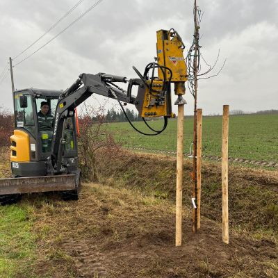 blunk-bei-pflanzung-straeucher-baeume-foto-helge-witt-13