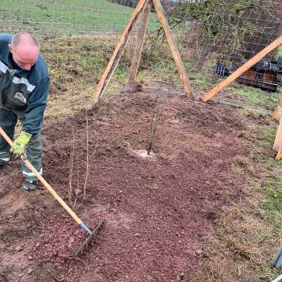 blunk-bei-pflanzung-straeucher-baeume-foto-helge-witt-14