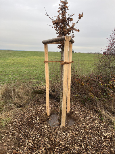 blunk-bei-pflanzung-straeucher-baeume-foto-helge-witt-16