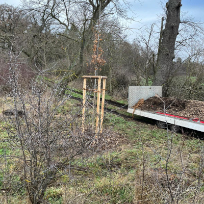 blunk-bei-pflanzung-straeucher-baeume-foto-helge-witt-17