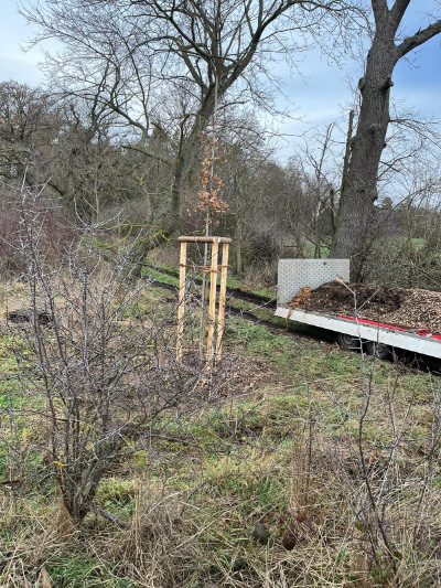 blunk-bei-pflanzung-straeucher-baeume-foto-helge-witt-17