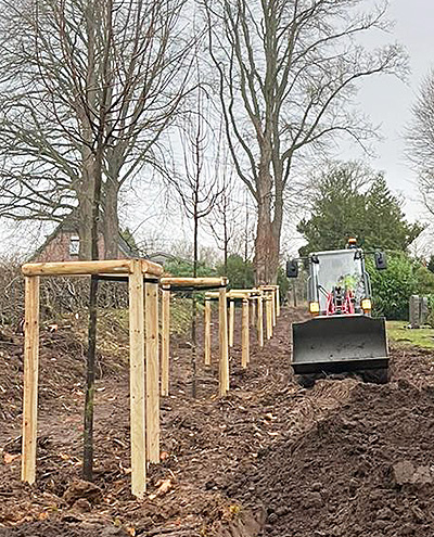 blunk-rodung-und-neupflanzung-baeume-friedhof-bornhoeved-foto-egener-06