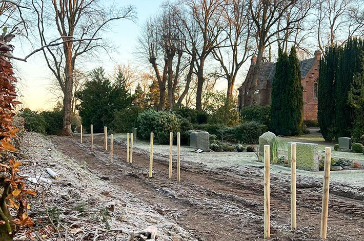 blunk-rodung-und-neupflanzung-baeume-friedhof-bornhoeved-foto-egener-titel