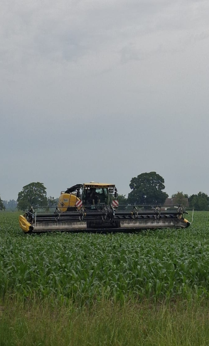 new-holland -haecksler-mit-mcdon-bandschneidwerk-fazit-nach-gps-ernte-05