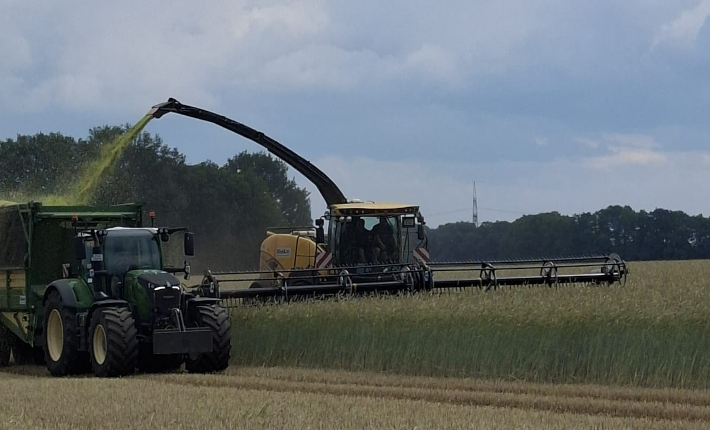 new-holland -haecksler-mit-mcdon-bandschneidwerk-fazit-nach-gps-ernte-titel